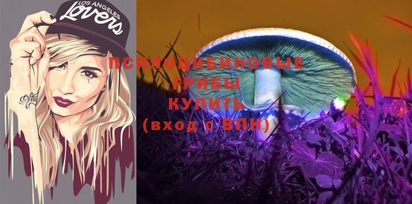 винт Алексин