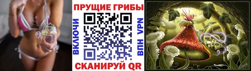 Псилоцибиновые грибы GOLDEN TEACHER  Наволоки 