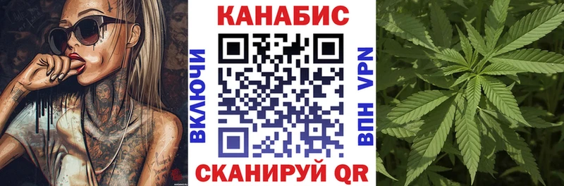 Шишки марихуана планчик  наркошоп  Наволоки 